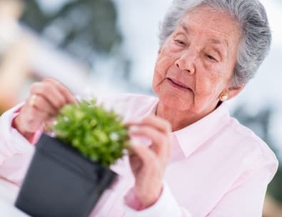 Le jardinage cultive l’intérêt du Senior