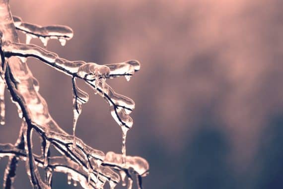 Conseils essentiels en cas de grand froid
