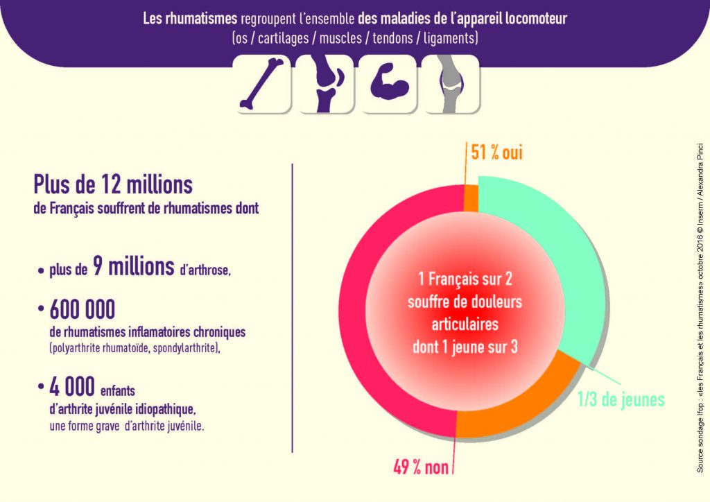 Infographie présentant les chiffres des rhumatismes en France